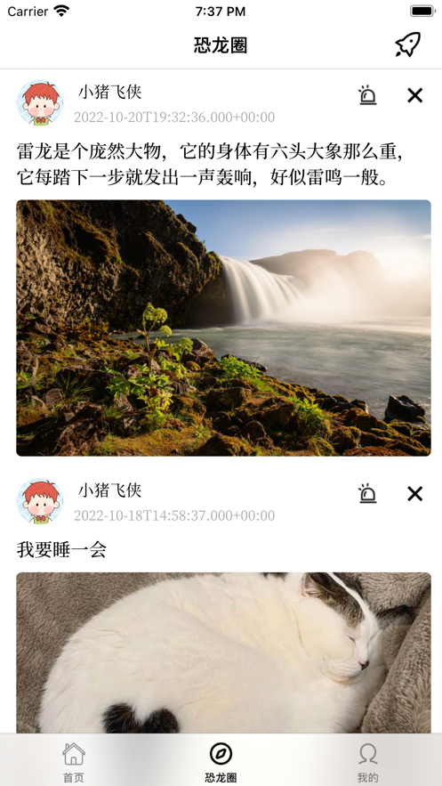 恐龙迷