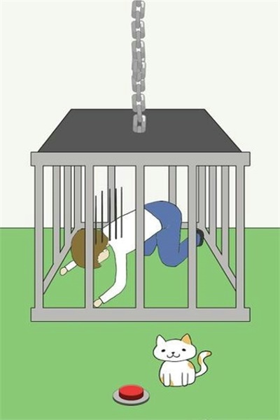 我的猫咪呢