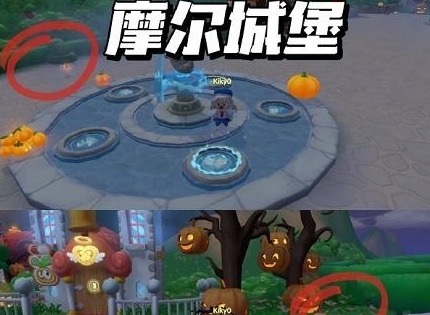 摩尔庄园派对星花在哪 派对星花位置分享