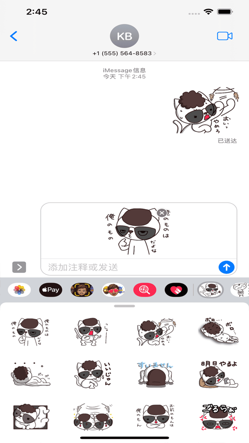 格雷猫