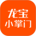 龍寶小掌門