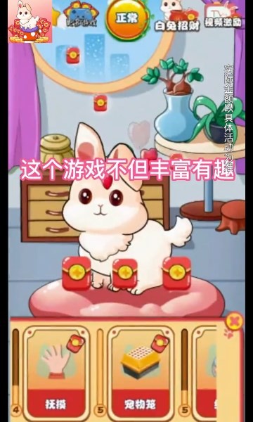 軟軟小兔