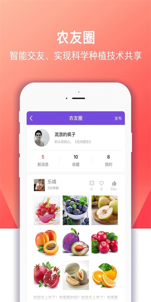 点筹农场