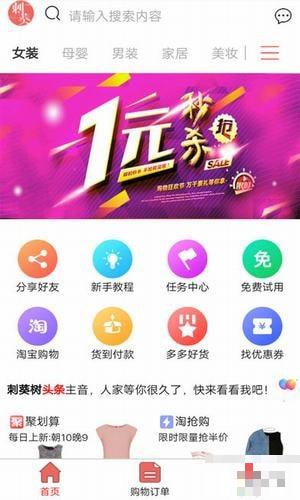 刺葵折扣