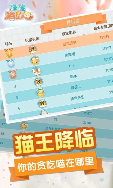 碰碰猫星人