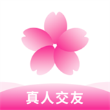 桃花交友约会