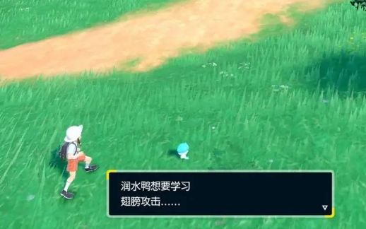 宝可梦朱紫怎么重新开始重新开始游戏方法介绍