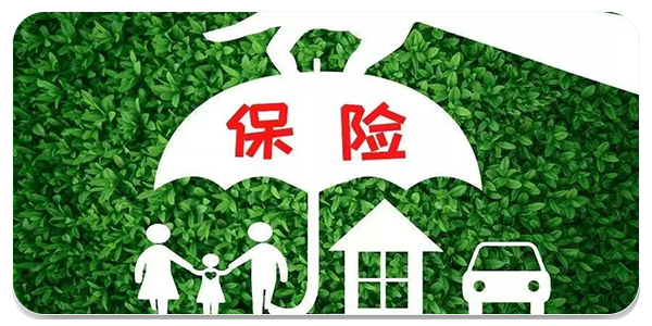 保险