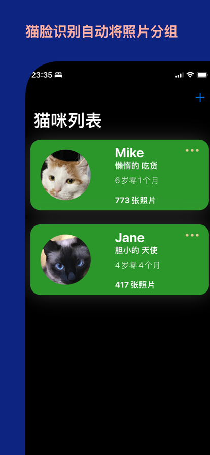 猫猫时刻