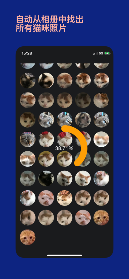 猫猫时刻