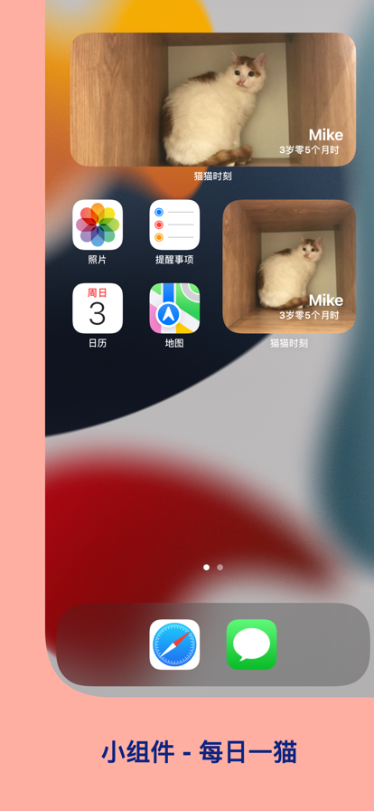 猫猫时刻