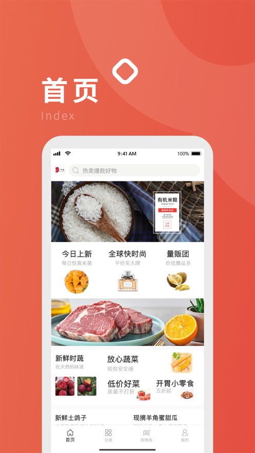 七羽鸽
