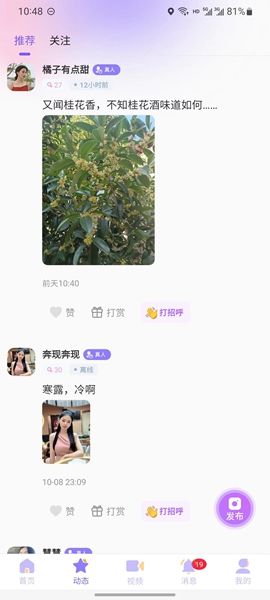 丝语夜聊