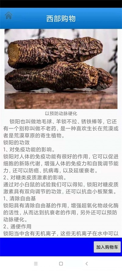西部特产