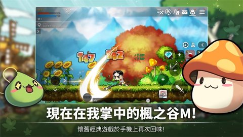 枫之谷m