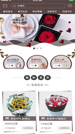 七彩云菊