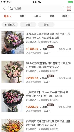 七彩云菊