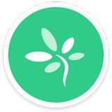 時間樹