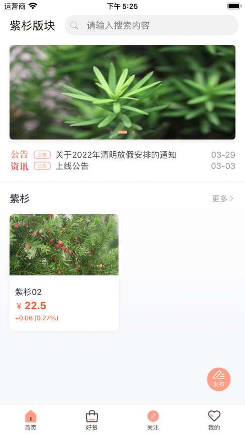 紫杉版块