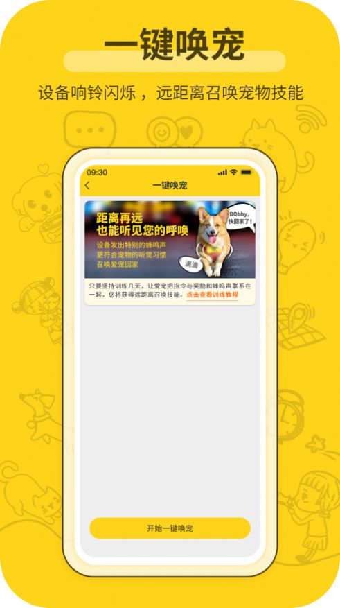宠物星辰