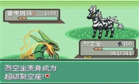 口袋妖怪日月宝石八木特别篇