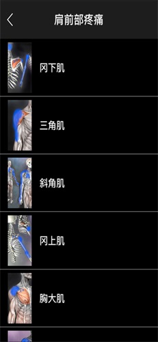 肌肉激痛点app