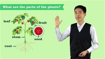 VIPChild少兒國際班教學