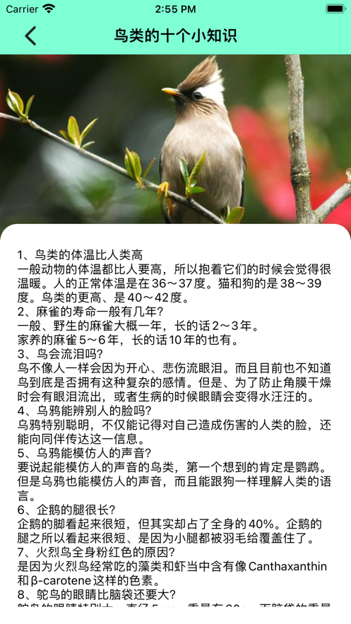 飞鸟集