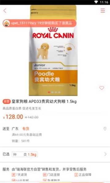 金刺猬
