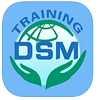 DSM培训