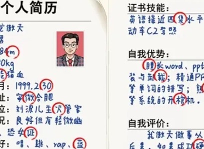 这不是汉字龙傲天简历通关攻略 这不是汉字龙傲天简历过关答案
