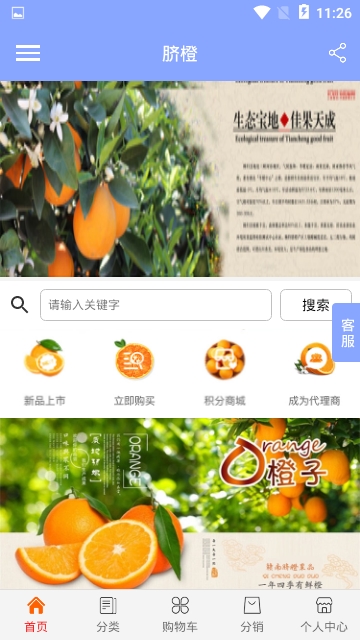 脐橙