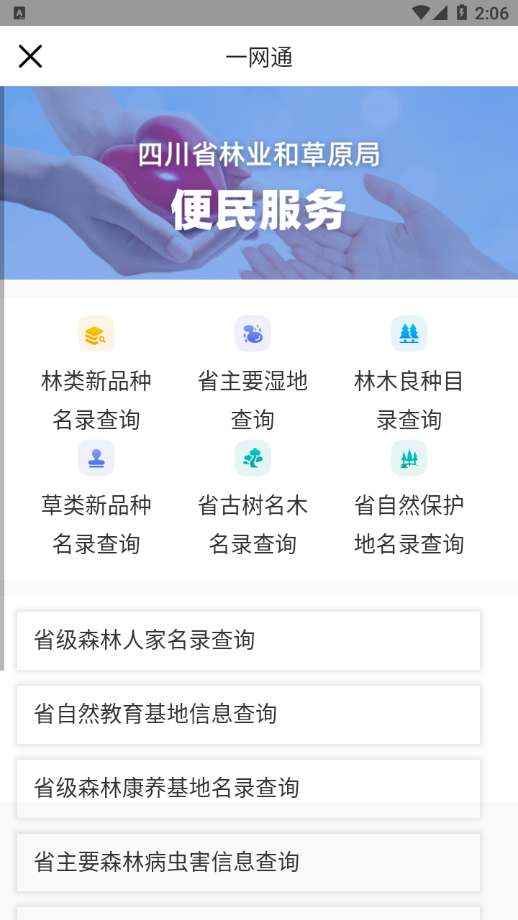 数字熊猫护林员