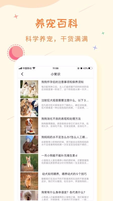 爱宠纪