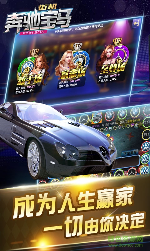 鱼丸游戏飞禽走兽电玩城