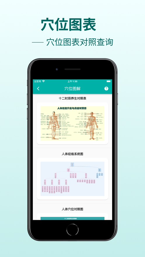 人體穴位圖解