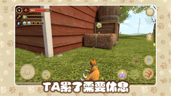 猫咪农场