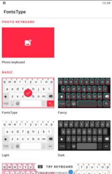 FontsType