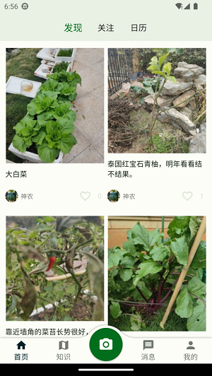 鱼菜记
