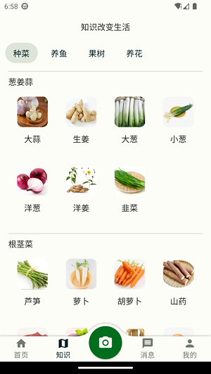 鱼菜记