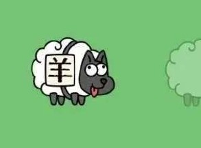 羊了个羊1.17关卡过关攻略 1月17日第二关过关方法