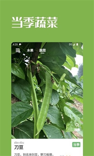 果蔬時節