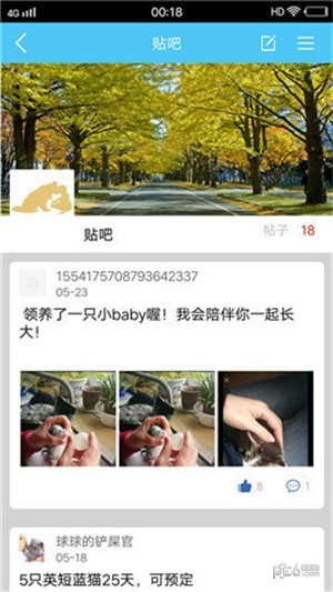 宠时代