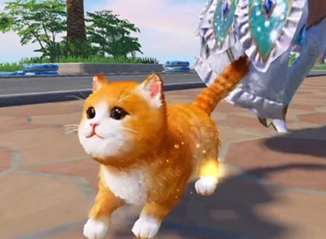 和平精英猫咪名字修改方法 和平精英修改猫咪名字方法分享