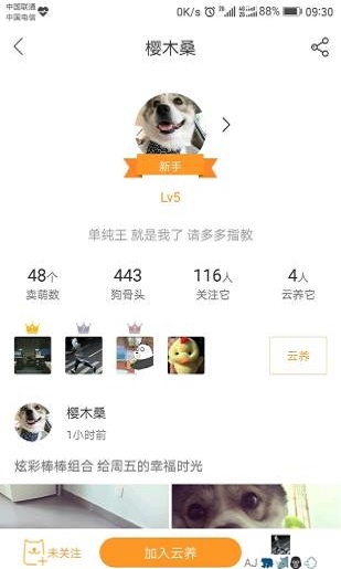 趣云养