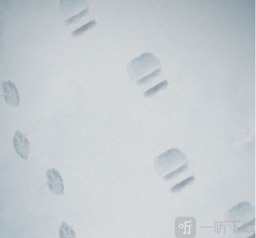 忘雪游戏攻略第八关怎么过 第八关攻略大全