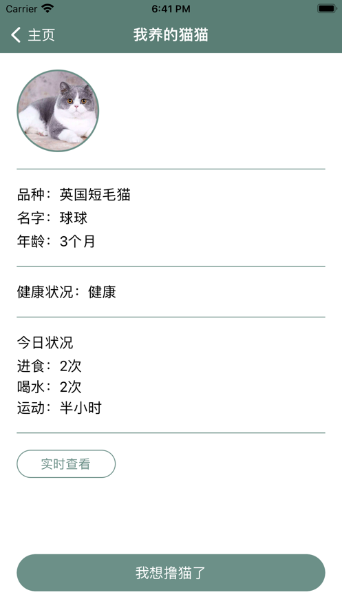 云上猫咖馆