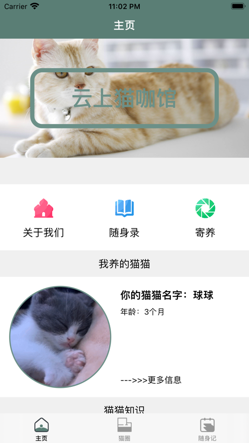 云上猫咖馆