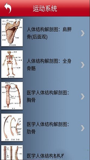 人體解剖圖
