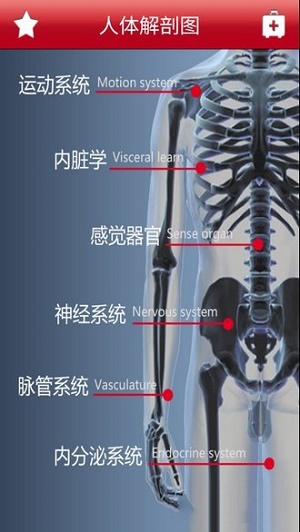 人體解剖圖